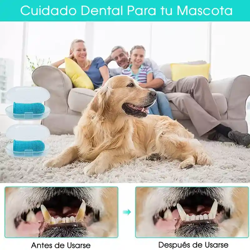 Rasca Encías Cepillo Higiene Cuidado Dental Perros Gatos Mascotas