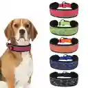 Collar Reflectivo Perros Medianos Grandes Suave Ajustable Duradero