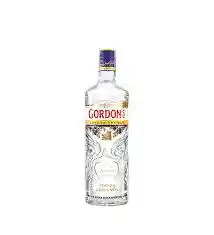 Ginebra Gordons