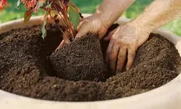 2 Und Tierra Abonada Plantas Todo Tipo Cultivos Crecimiento Abono 5kg