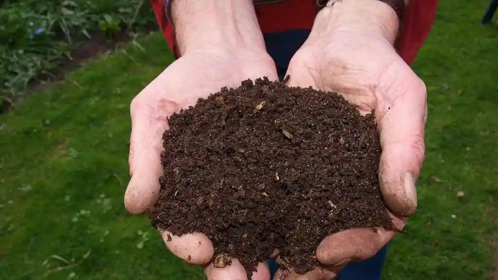 Tierra Abonada Plantas Todo Tipo Cultivos Crecimiento Abono 5kg