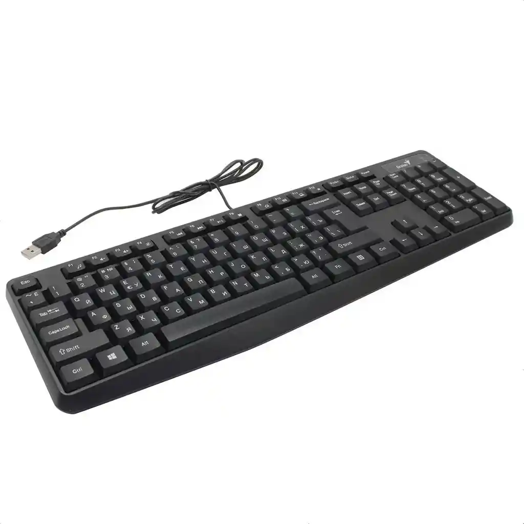 Teclado Clásico Alámbrico Usb Genius Kb-117 Con 12 Teclas Fn