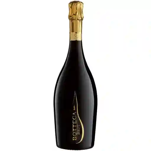 Vino Millesimato Spumante Brut Bottega Bot