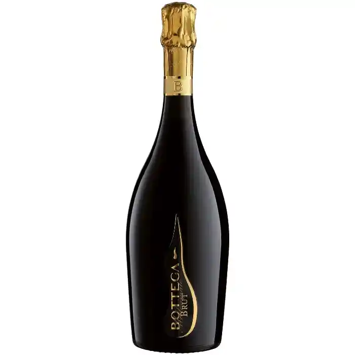 Vino Millesimato Spumante Brut Bottega Bot