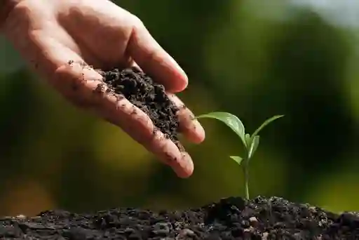 Tierra Abonada Plantas Todo Tipo Cultivos Crecimiento Abono 5kg