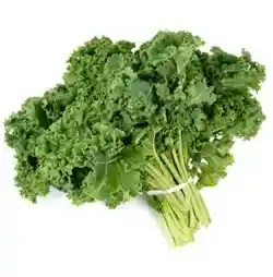 Kale Rizada