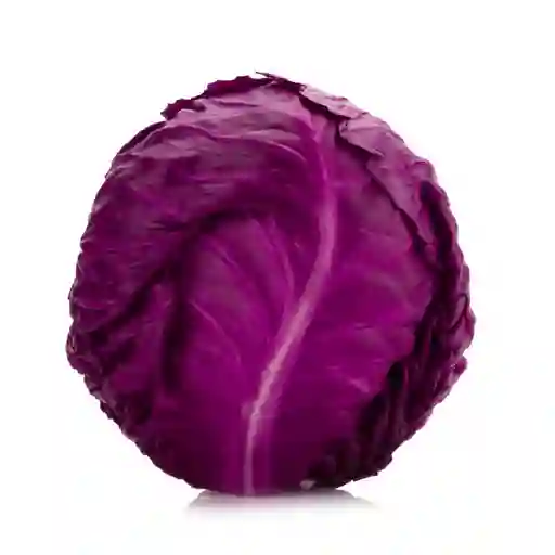 Semillas Repollo Morado Cultivo Culinario Jardin Hortaliza