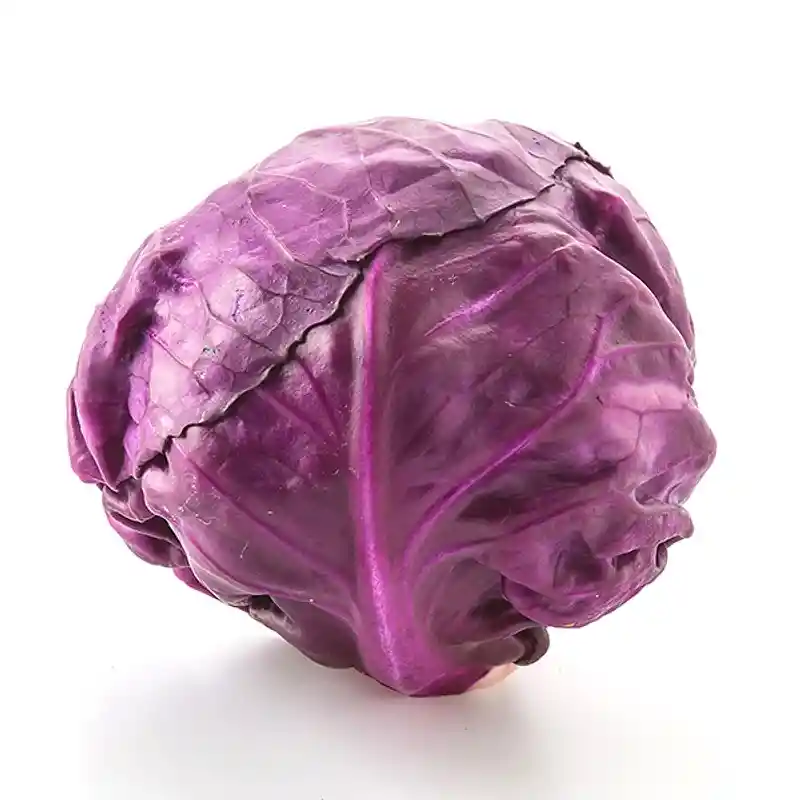 Semillas Repollo Morado Cultivo Culinario Jardin Hortaliza