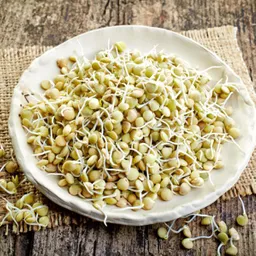 Semillas Lenteja Verde Gastronomia Vegano Vegetal Comida Germinado