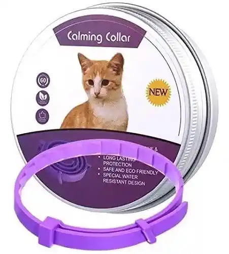 Collar De Feromonas Para Gatos