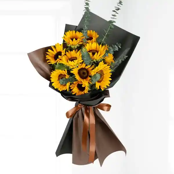 Girasoles X12