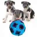 Juguete Pelota Cascabel Interactiva Resistente Antiestrés Perros Gatos