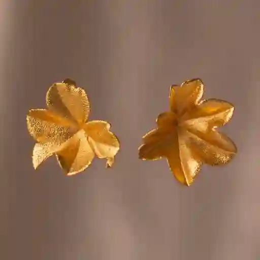 Aretes Topo Hiedra