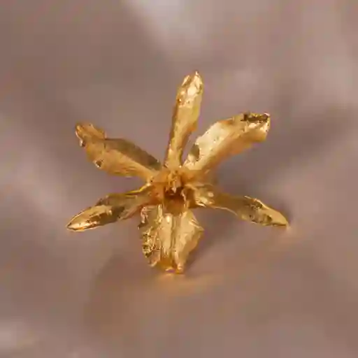 Anillo Orquidea Lluvia De Cereza Logrado