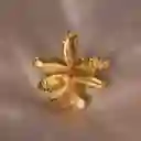 Anillo Orquidea Odontoglossum Flor Sauco