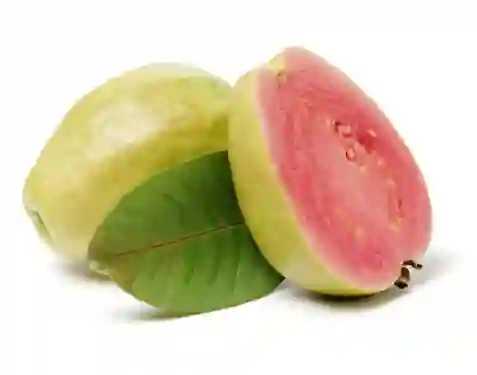 Semillas Guayaba Huerta Casa Fruta Planta Arbol