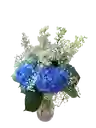 Hortensias En Flor