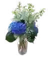 Hortensias En Flor