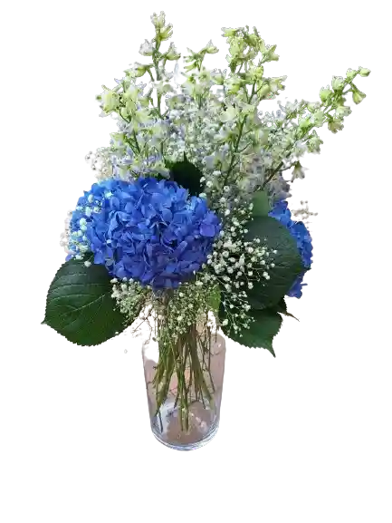 Hortensias En Flor