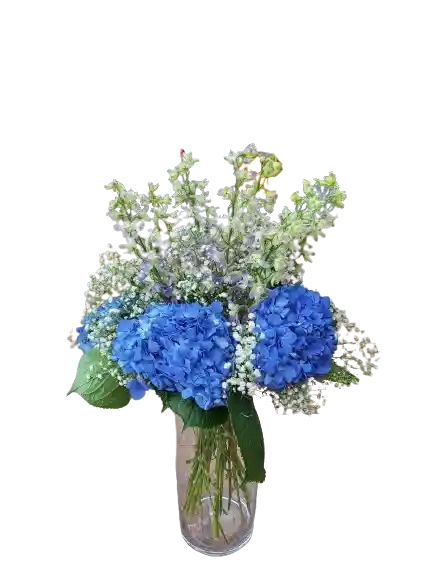 Hortensias En Flor