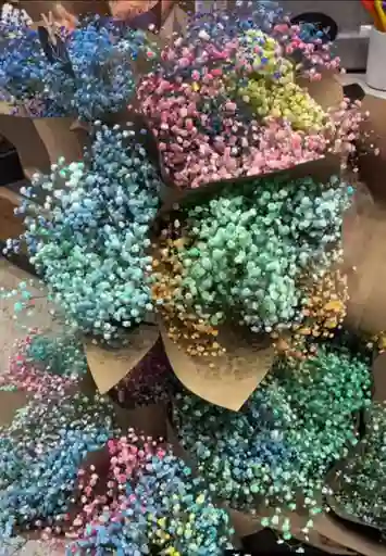 Paquete Flor Nube Multicolor