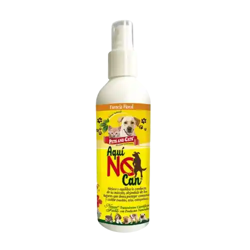 Aqui No Can Spray 240ml