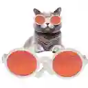 Gafas De Sol Disfraz Para Gatos