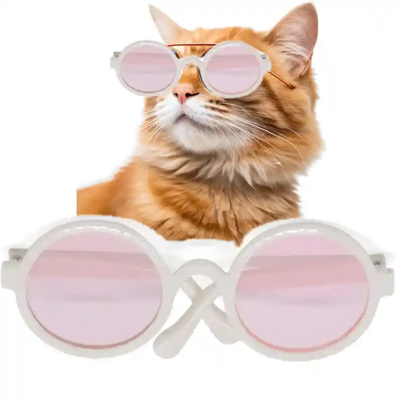 Gafas De Sol Disfraz Para Gatos