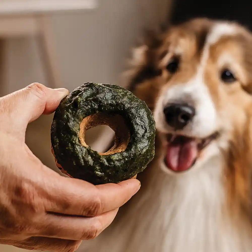 Donut De Carne Y Espinaca