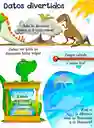 Libro Curiosidades Dinosaurios Con Solapas Para Niño Niñas