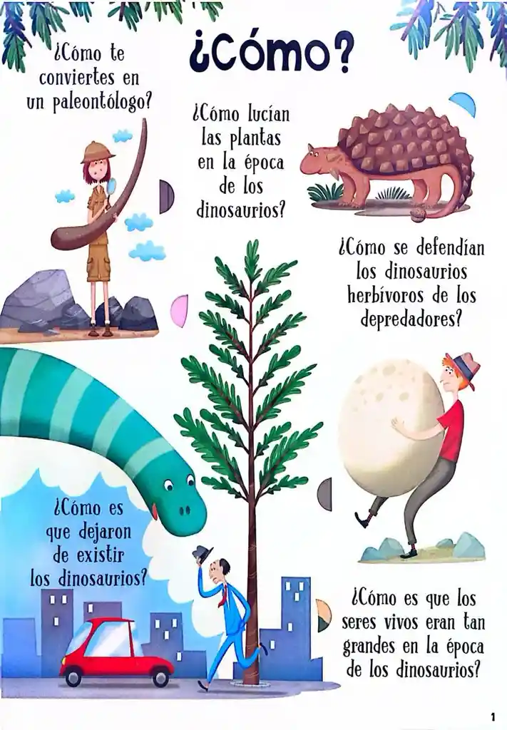 Libro Curiosidades Dinosaurios Con Solapas Para Niño Niñas