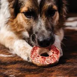 Donut Red Velvet: Pollo, Papa Y Remolacha