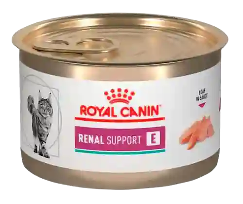 Royal Canin Felino Renal Support E 145 Gr