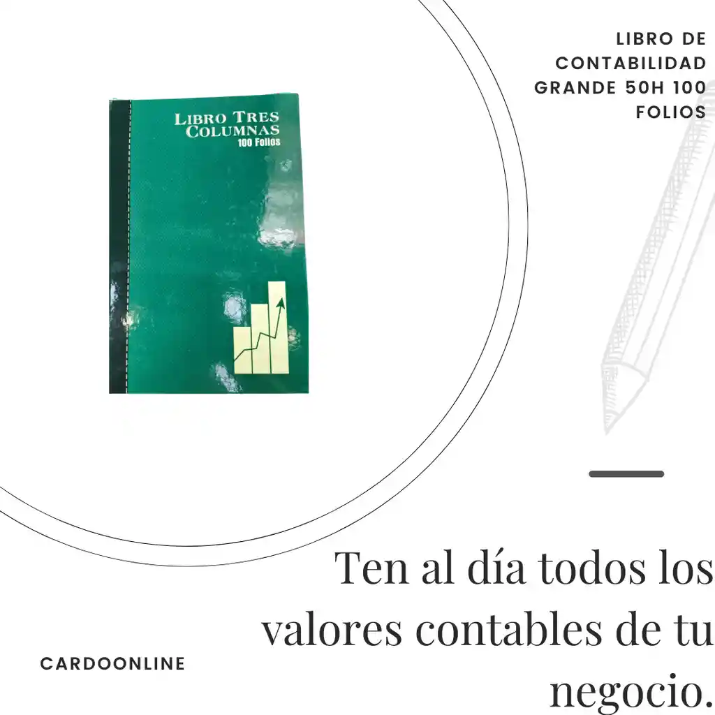 Libro De Contabilidad Grande 50h 100 Folios