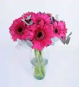 Jarron De Gerberas