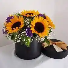 Caja De Girasoles Mini