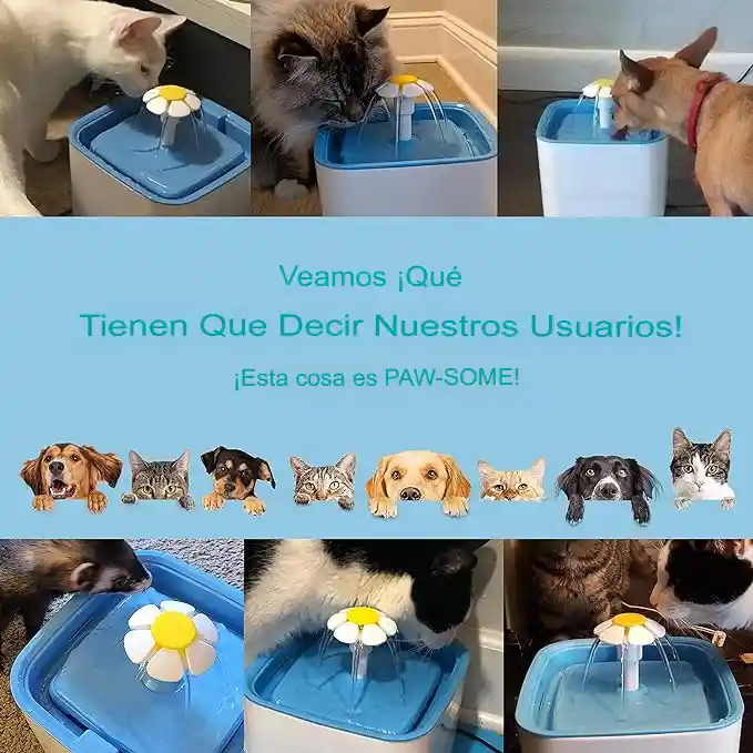 Fuente De Agua Purificadora Para Mascotas 2.5 Lt + Filtros