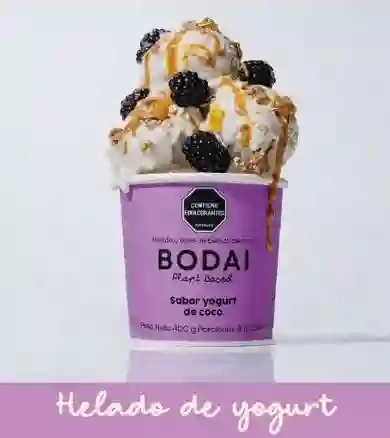 Helado Bodai Familiar Coco