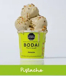 Helado Bodai Familiar Pistacho