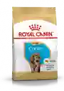 Royal Canin Alimento Para Perro Cocker Puppy 3kg