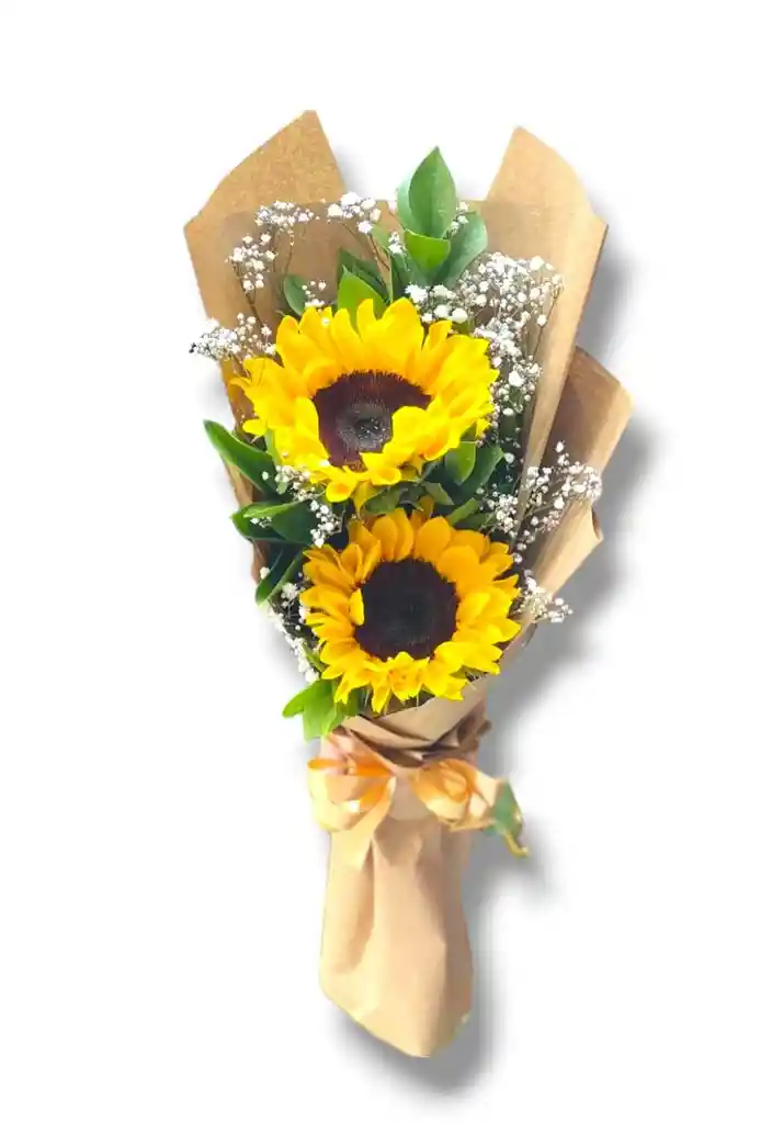 Bouquet De 2 Girasoles