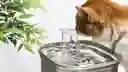 Fuente De Agua Para Gatos Y Perros Automatica