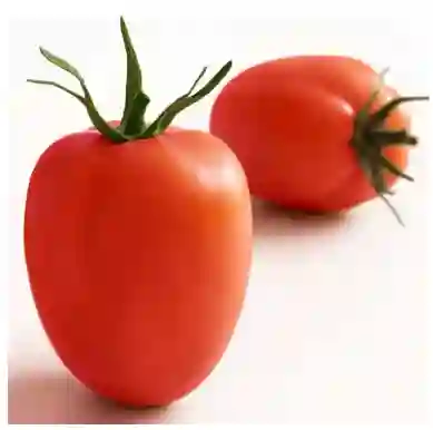 Tomate Chonto Organico