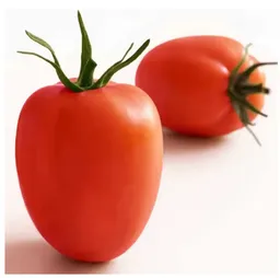 Tomate Chonto Organico