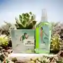 Gran Promoción Perfume + Splash 300ml Lacoste Essential