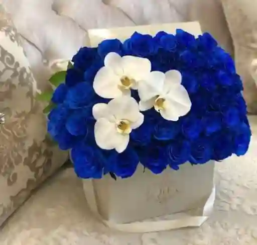 Rosas Azules Y Orquideas