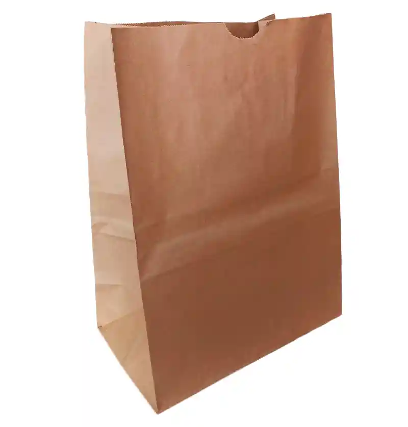Bolsa Papel #60 X 50 Und