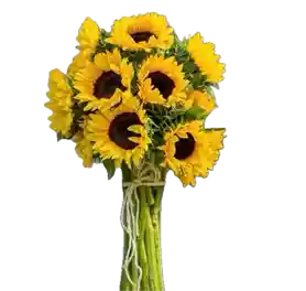 Bouquet De 12 Girasoles