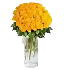 36 Rosas Amarillas