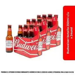 Budweiser Cervezabotella 250ml X 24